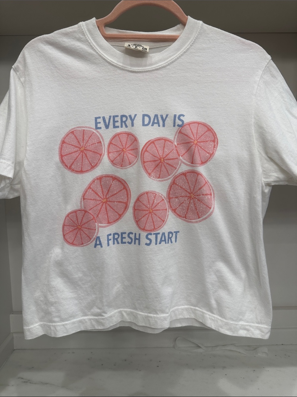 Comfort Colored small cropped tee shirt. Every Day Is A Fresh Start logo.